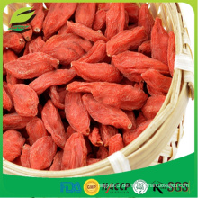 Bulk Ningxia Goji Beeren